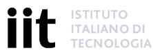 IIT Istituto Italiano Tecnologie